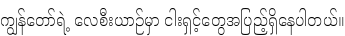 Specimen for Noto Serif Myanmar SemiCondensed Light (Myanmar script).