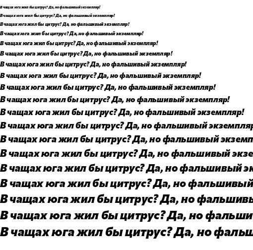 Specimen for Commissioner Flair ExtraBold Italic (Cyrillic script).