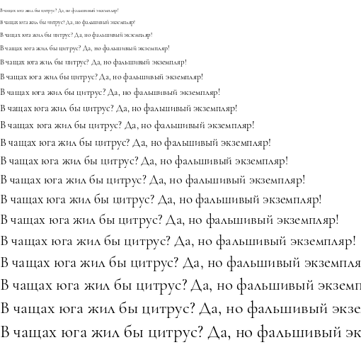 Specimen for Cormorant Garamond Regular (Cyrillic script).