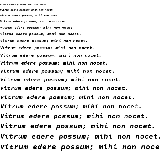 Specimen for Courier Prime Sans Bold Italic (Latin script).