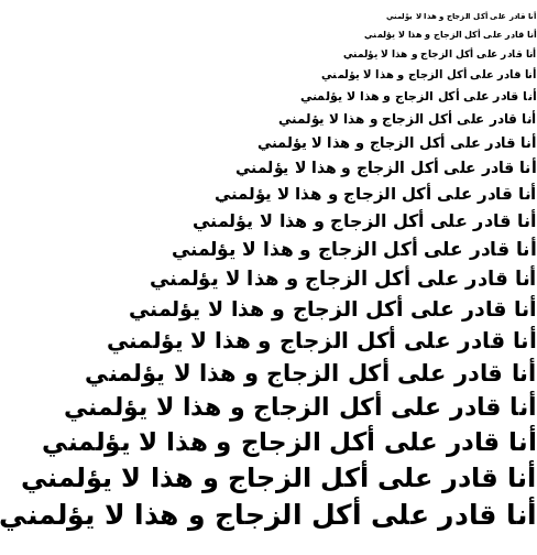 Specimen for DejaVu Sans Bold (Arabic script).