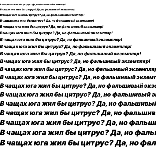 Specimen for Inter Black Italic (Cyrillic script).