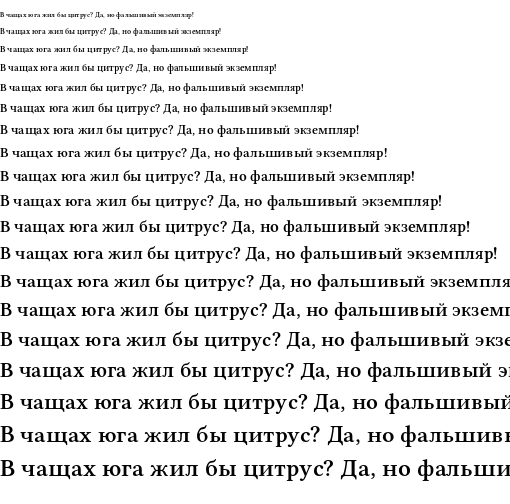 Specimen for Libertinus Serif Semibold (Cyrillic script).