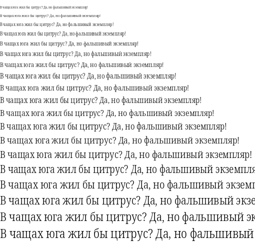 Specimen for Noto Serif Condensed Light (Cyrillic script).