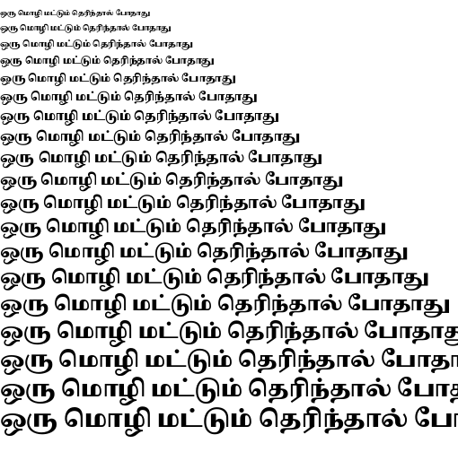 Specimen for Noto Serif Tamil Black (Tamil script).