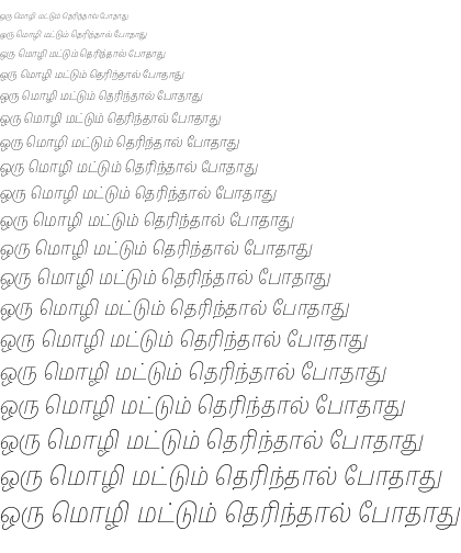 Specimen for Noto Serif Tamil Slanted Condensed Thin (Tamil script).