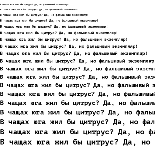 Specimen for PT Mono Bold (Cyrillic script).