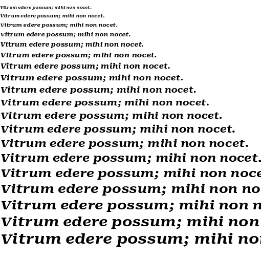 Specimen for Roboto Serif 8pt ExtraExpanded Bold Italic (Latin script).