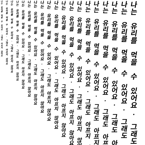 Specimen for Sarasa Mono TC Bold Italic (Hangul script).