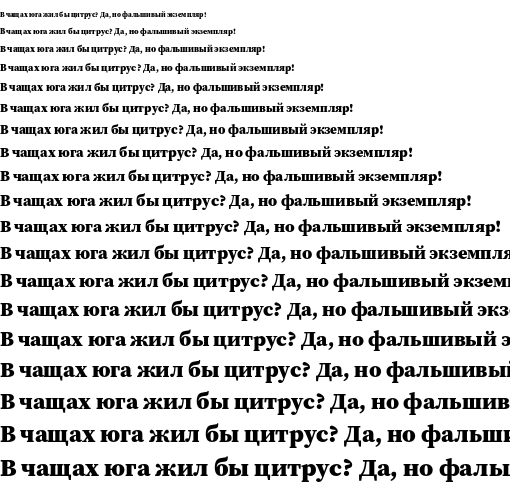 Specimen for Source Serif Pro Black (Cyrillic script).