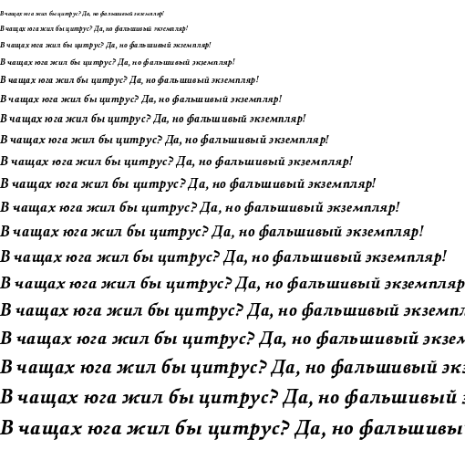 Specimen for Walleye Bold Italic (Cyrillic script).