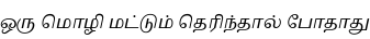 Specimen for Noto Serif Tamil Slanted Regular (Tamil script).