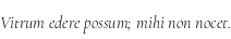 Specimen for Cormorant Garamond Light Italic (Latin script).
