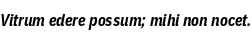 Specimen for IBM Plex Sans Condensed Bold Italic (Latin script).