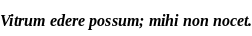 Specimen for Liberation Serif Bold Italic (Latin script).