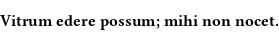 Specimen for Libertinus Serif Bold (Latin script).