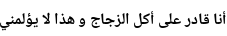 Specimen for Noto Naskh Arabic UI Bold (Arabic script).