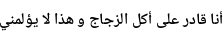 Specimen for Noto Naskh Arabic UI Semi Bold (Arabic script).