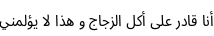 Specimen for Noto Sans Arabic UI Condensed (Arabic script).