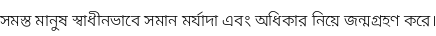 Specimen for Noto Sans Bengali Light (Bengali script).