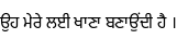 Specimen for Noto Sans Gurmukhi SemiCondensed (Gurmukhi script).