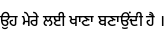 Specimen for Noto Sans Gurmukhi SemiCondensed Medium (Gurmukhi script).