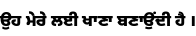 Specimen for Noto Sans Gurmukhi UI Black (Gurmukhi script).