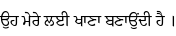 Specimen for Noto Serif Gurmukhi Regular (Gurmukhi script).