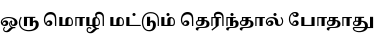 Specimen for Noto Serif Tamil ExtraBold (Tamil script).