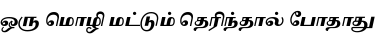 Specimen for Noto Serif Tamil Slanted Black (Tamil script).