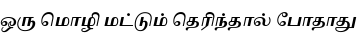 Specimen for Noto Serif Tamil Slanted Bold (Tamil script).
