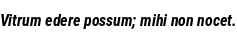 Specimen for Roboto Condensed Bold Italic (Latin script).