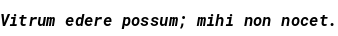 Specimen for Roboto Mono Bold Italic (Latin script).