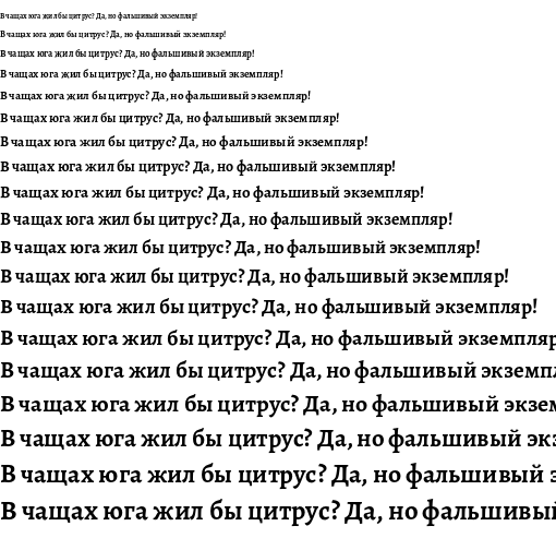 Specimen for Alegreya Bold (Cyrillic script).