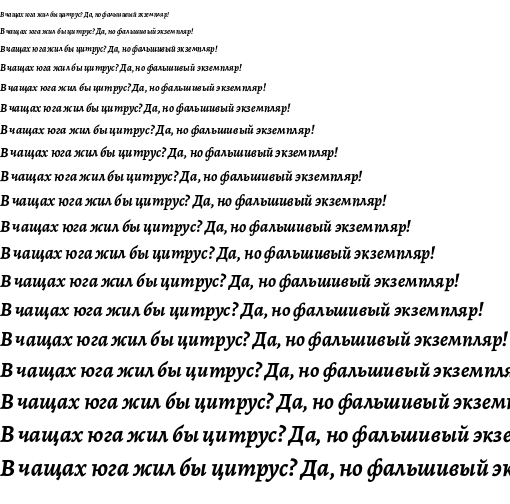 Specimen for Alegreya Bold Italic (Cyrillic script).