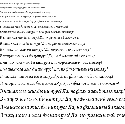 Specimen for Alegreya Italic (Cyrillic script).