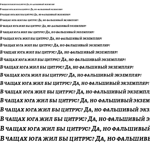 Specimen for Alegreya SC Bold Italic (Cyrillic script).