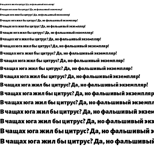 Specimen for Alegreya Sans Black (Cyrillic script).