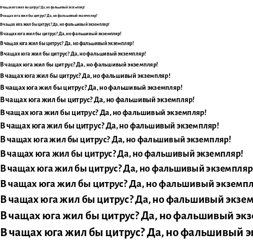 Specimen for Alegreya Sans Bold (Cyrillic script).