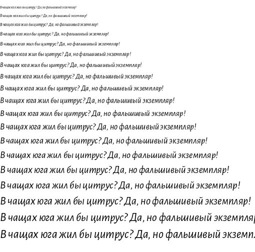 Specimen for Alegreya Sans Italic (Cyrillic script).