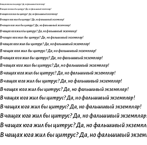 Specimen for Alegreya Sans Medium Italic (Cyrillic script).