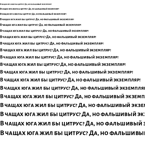 Specimen for Alegreya Sans SC Bold (Cyrillic script).