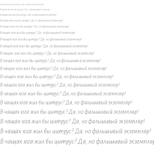 Specimen for Alegreya Sans Thin Italic (Cyrillic script).