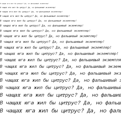 Specimen for Anonymous Pro Italic (Cyrillic script).