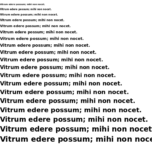 Specimen for Bitstream Vera Sans Bold (Latin script).