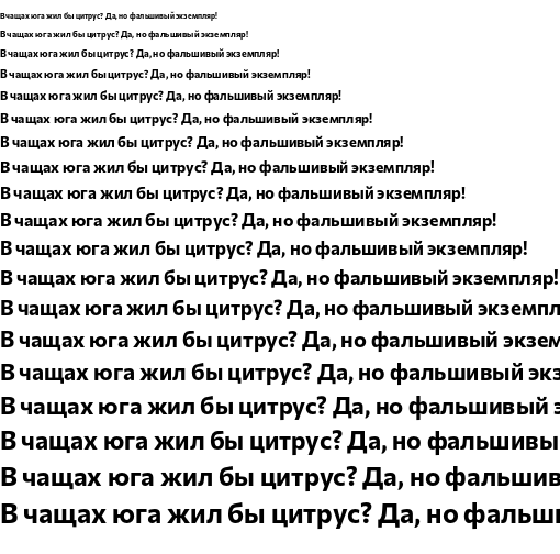 Specimen for Commissioner Bold (Cyrillic script).