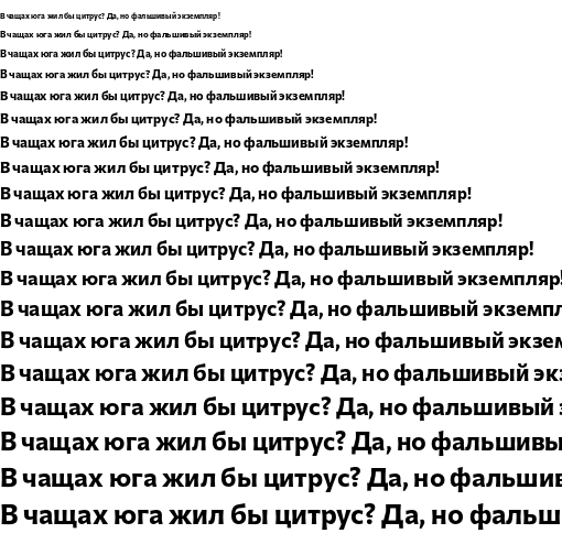 Specimen for Commissioner Loud Bold (Cyrillic script).