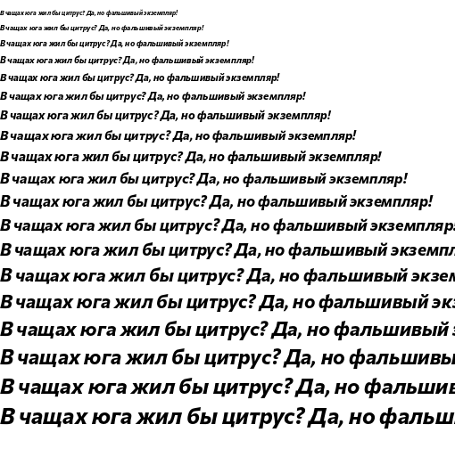 Specimen for Commissioner Loud Bold Italic (Cyrillic script).