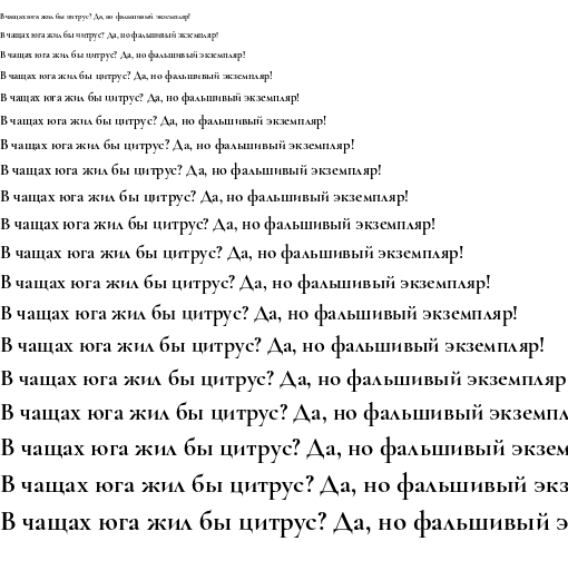 Specimen for Cormorant Garamond Bold (Cyrillic script).