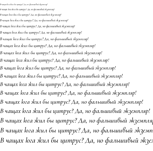 Specimen for Cormorant Infant Medium Italic (Cyrillic script).